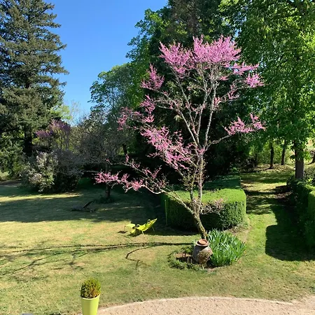 Villa Manoir Avec Piscine Chauffee Et Parc Clos Arbore *
